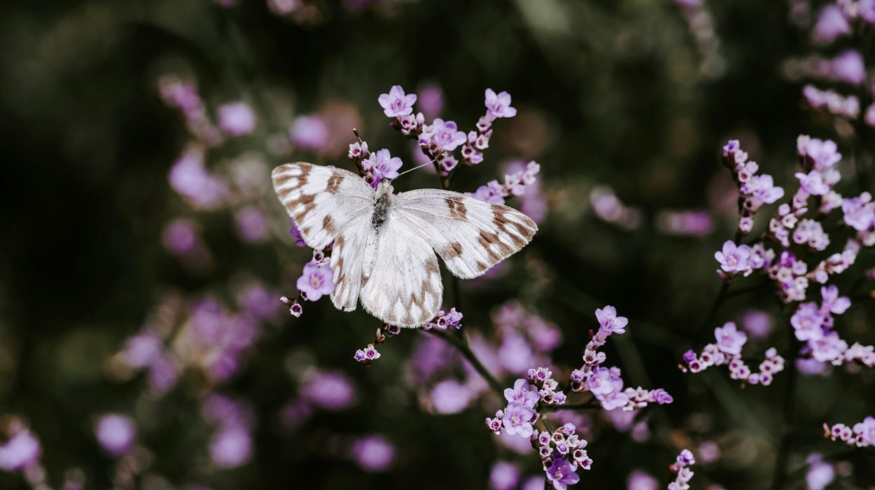 xuan-nguyen-HthF_dYMdlY-unsplash